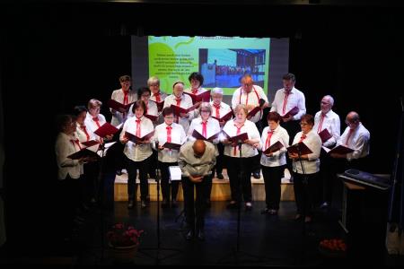 25 let MePZ DU Mirna, foto Pep (19)